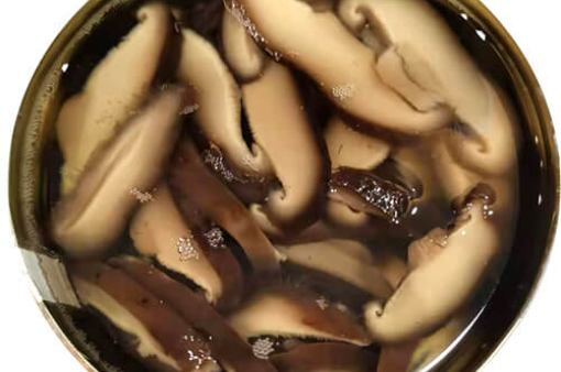 Canned Shiitake Mushroom